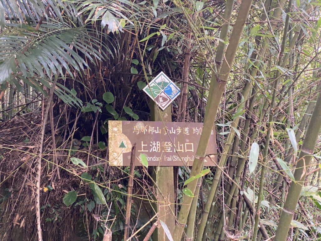 037苗栗泰安-馬那邦山_2604687