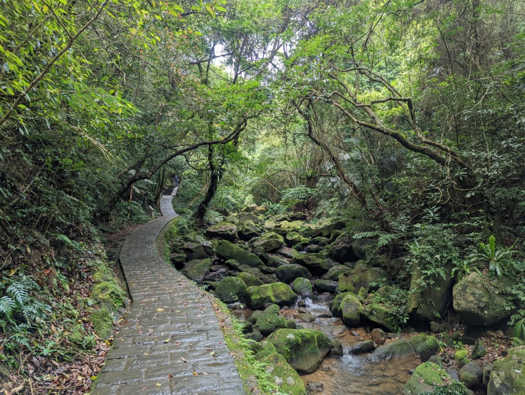 內湖景點輕鬆走：大溝溪生態園區。圓覺瀑布。夫妻樹＆紫藤花。同心池。白石湖吊橋。碧山巖_1654396