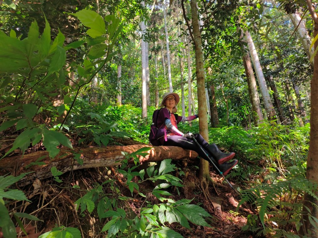 小東河上大龍山_2247170