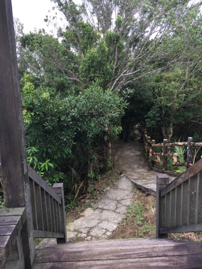 第三登山口-鞍部-二格山，南邦寮_390584