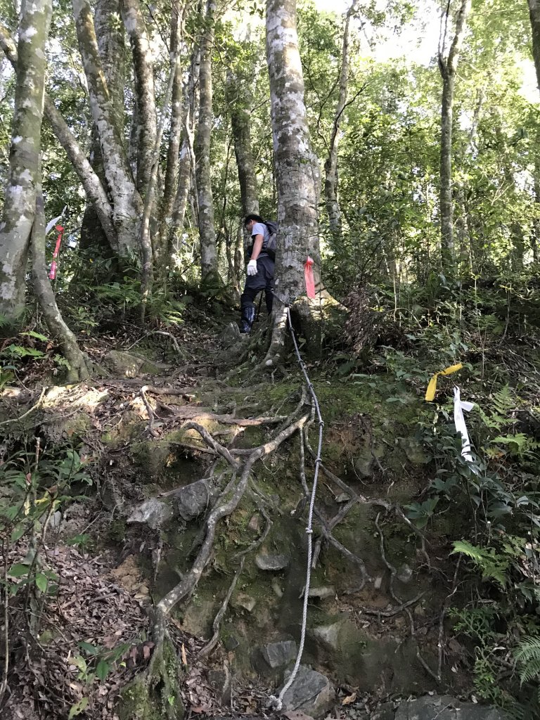 復興三尖之復興尖山_1422451