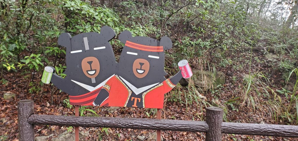 谷關七雄_波津加山 捎來吊橋登山口_1958851