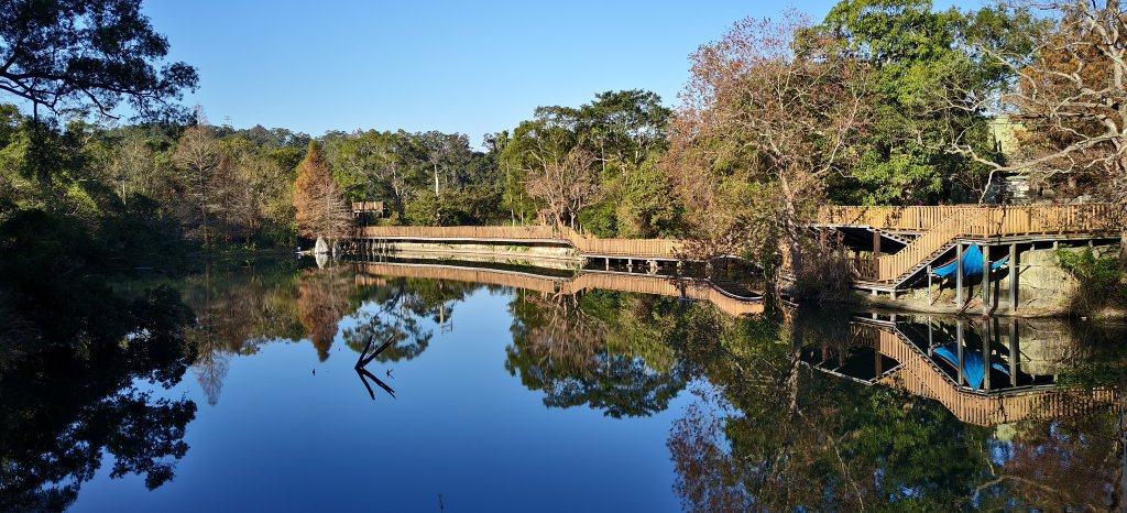 2026/01/10_銅鏡山林步道封面圖
