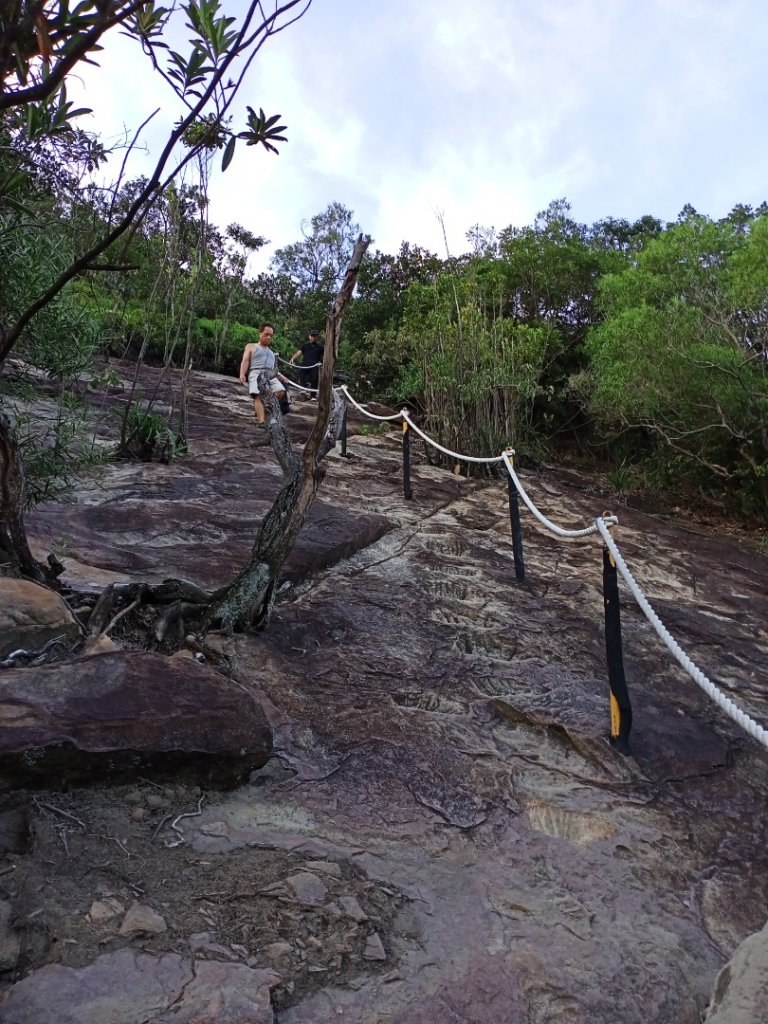 【台北-臺灣百大必訪步道】金面山親山步道_1104338