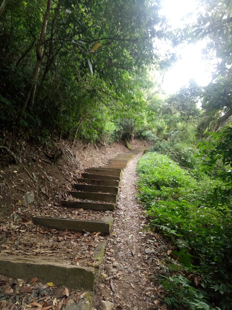 東藤枝山及藤枝山_1882166