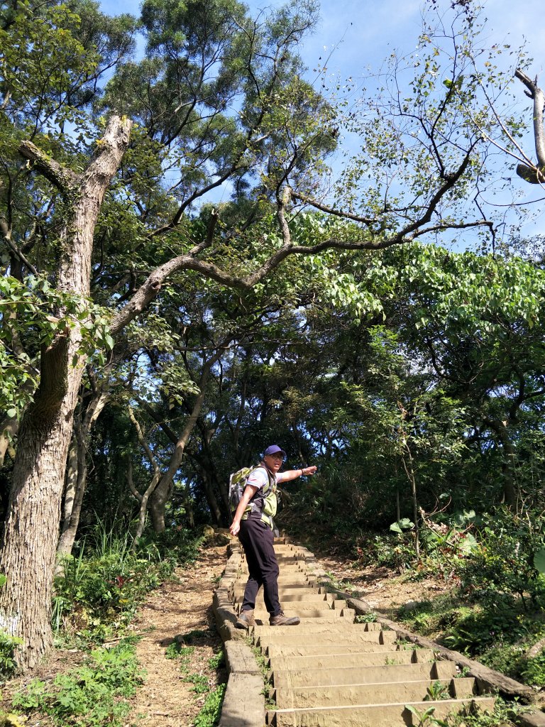 2020 03 16 樹林大棟山_881437