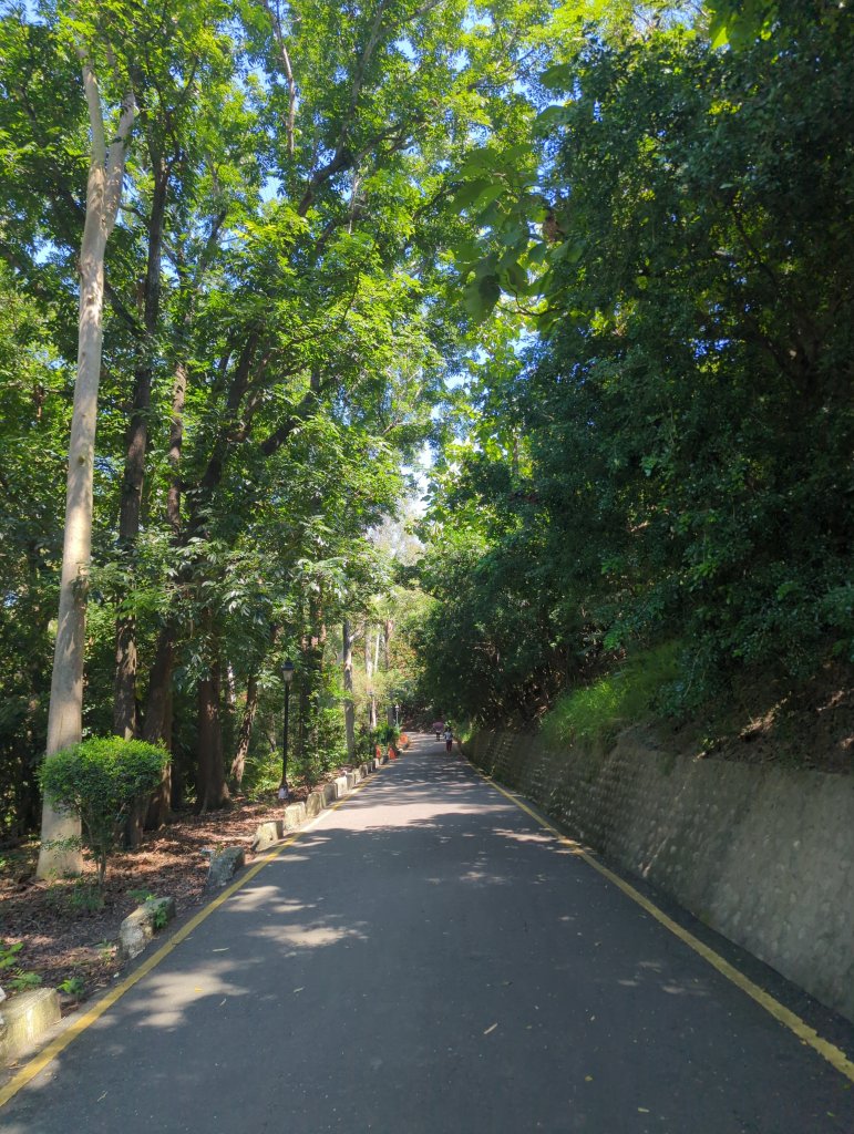 2025.10.05－阿罩霧山、中心瓏步道封面圖