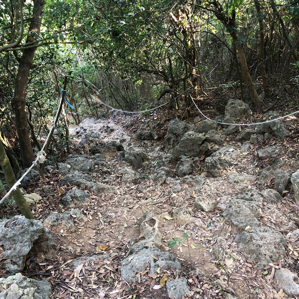 山岳足跡77封面圖