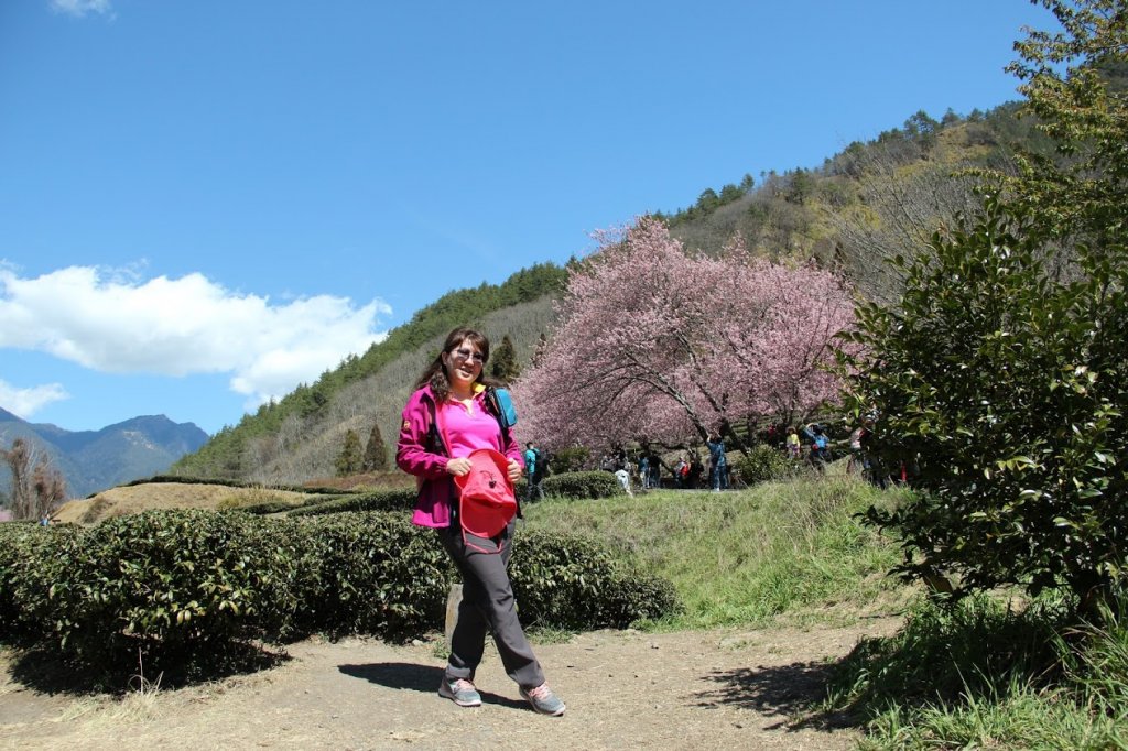 109.02.27 武陵農場(國光號)_905475