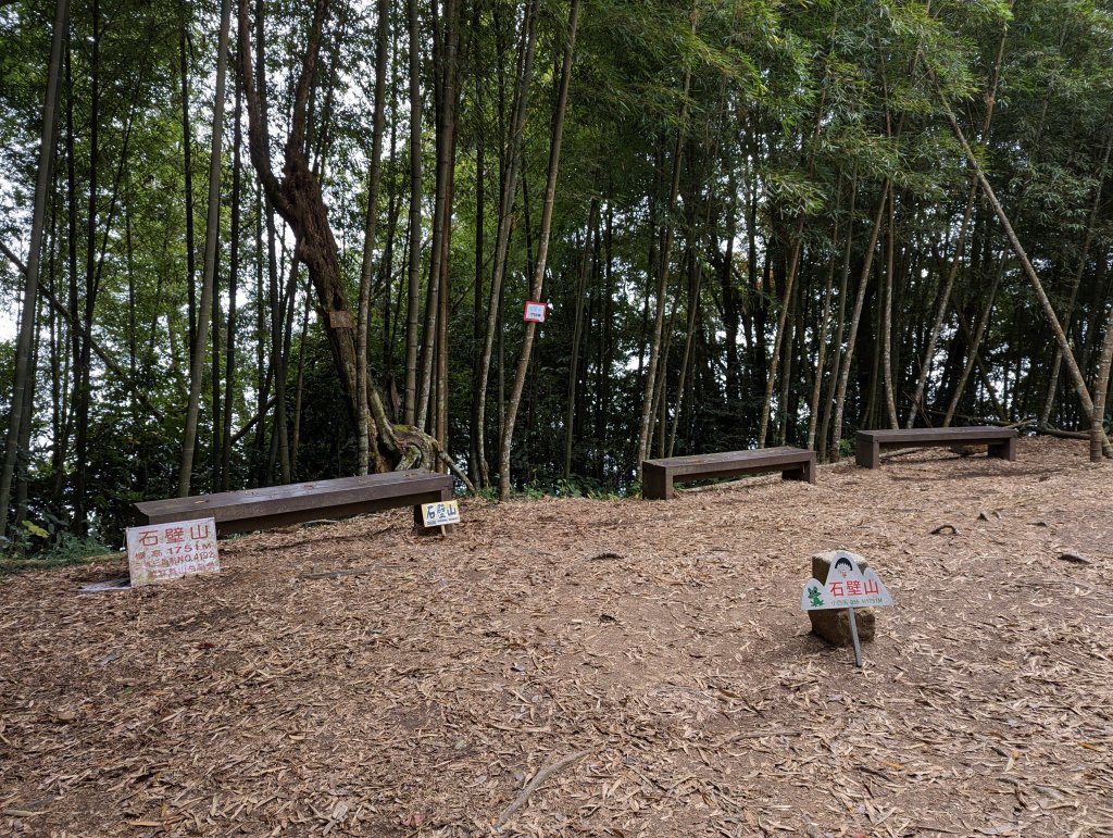 【小百岳055】雲林 石壁山_1959555