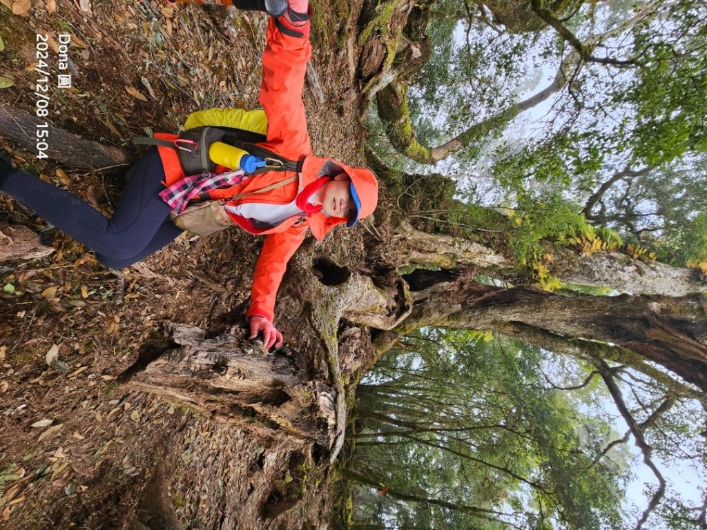 追趕跑跳蹦的羅馬縱走_2666249