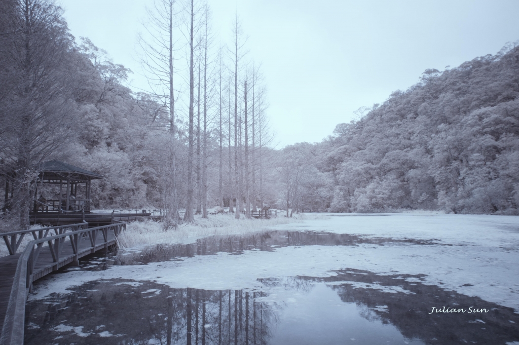 福山植物園-紅外線攝影_54761