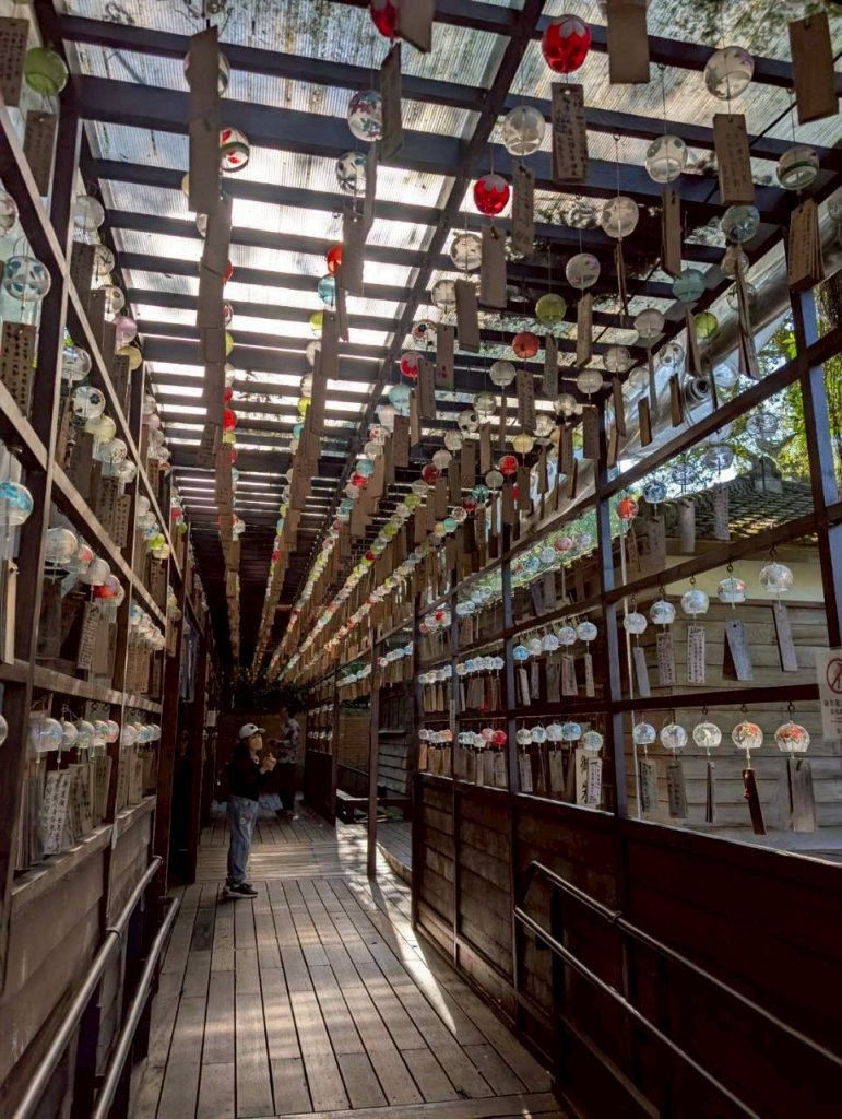 🌈11/8（六）桃園神社+虎頭山風景區尋找10連峰✨FB：熊熊趴爬走🌈_2932439