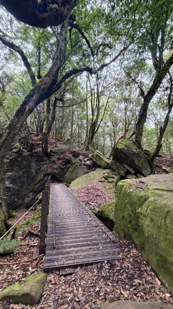 加里山 2025 12/28_2971694