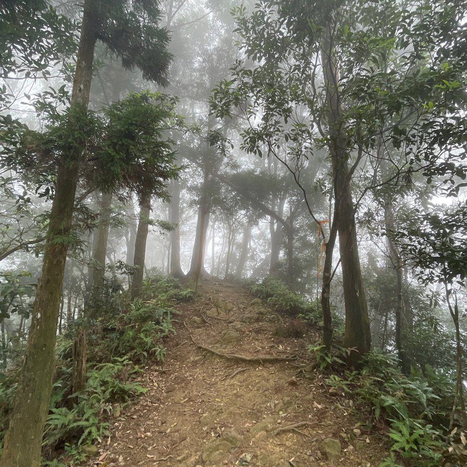 仙山登山步道大O_1954961