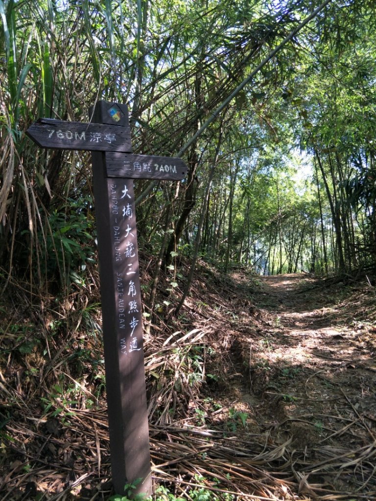 大埔大巃三角㸃歩道&凍子顶山_1451858