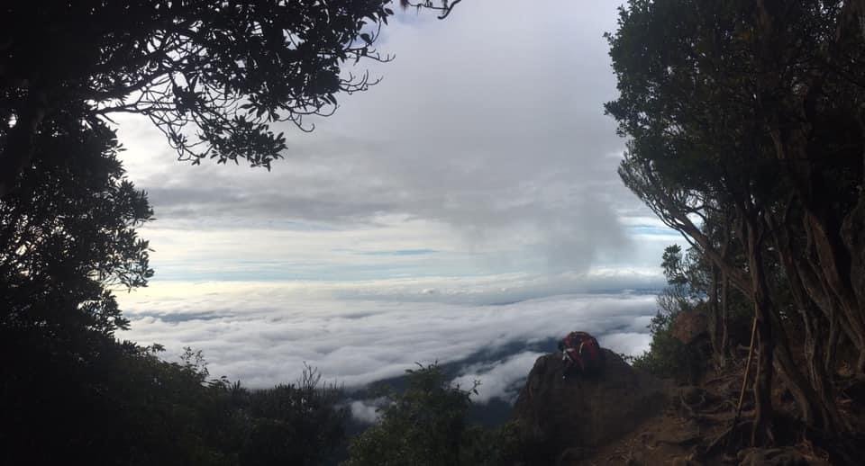 無名山、大坪山、加里山8字走、雲海看到飽_1924738