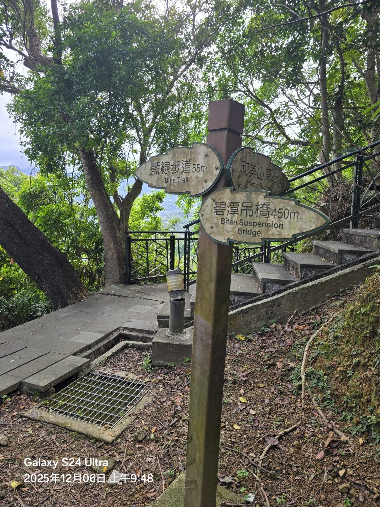 2025-12-06微笑山線：【二格山系】和美山螢火蟲段_2956816