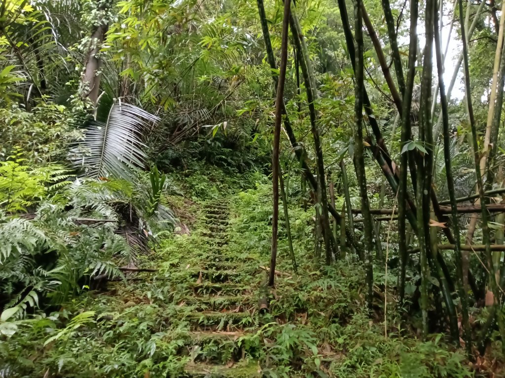平溪區善覺寺古道(步道)去回_2855382