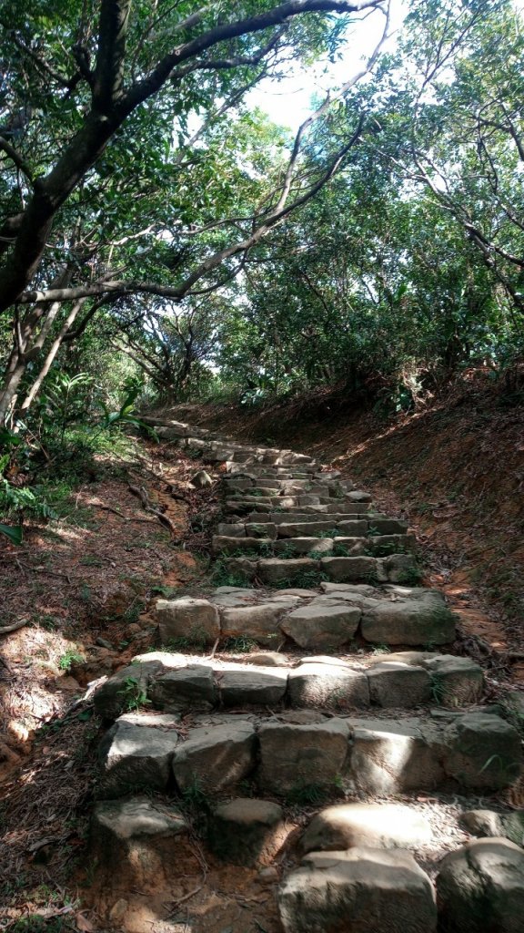 小小冒險王(小錐麓古道-小鬼瀑布)_1842683