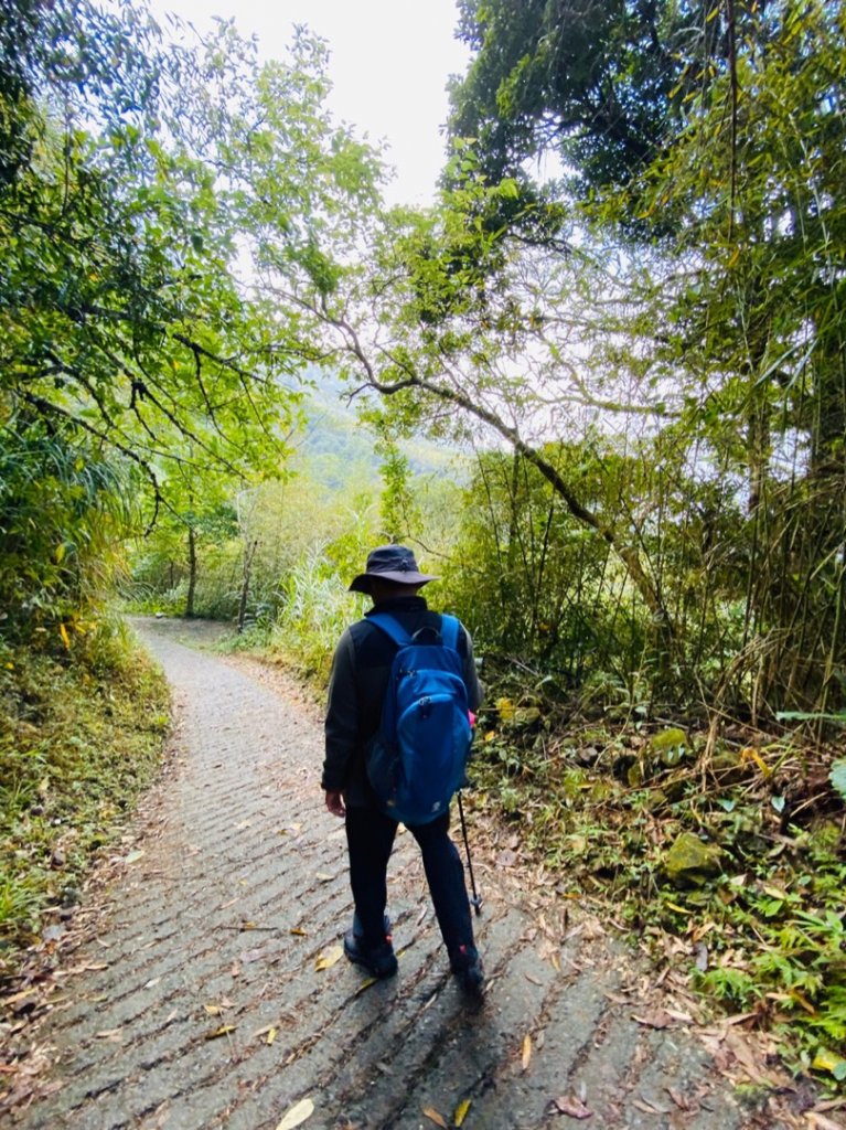 1090315臺南關仔嶺雞籠山步道_879461