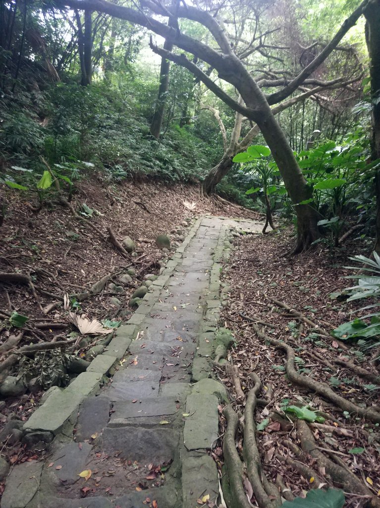 齋明寺古道_644560