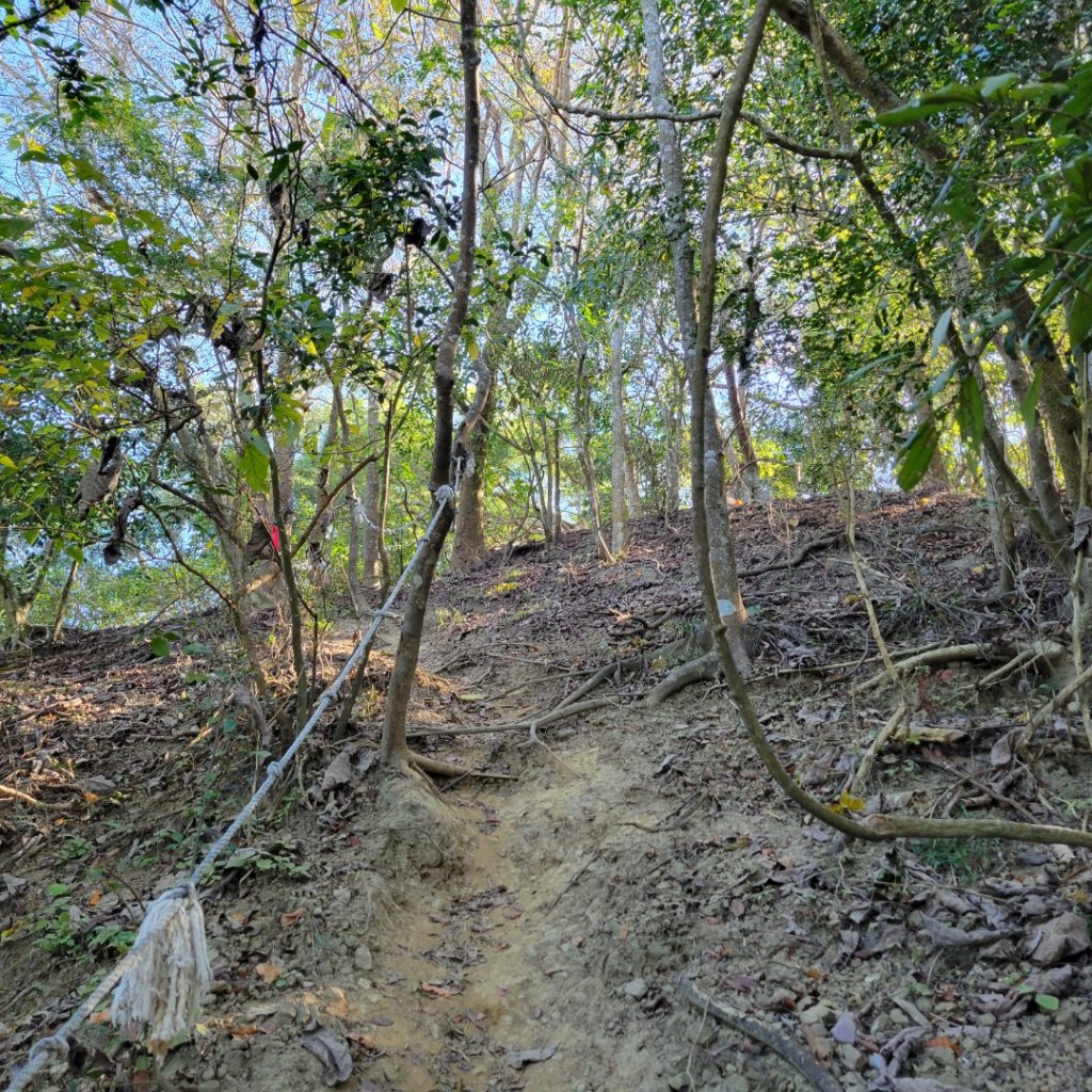 鈺鼎步道~糖子恩山_1576571