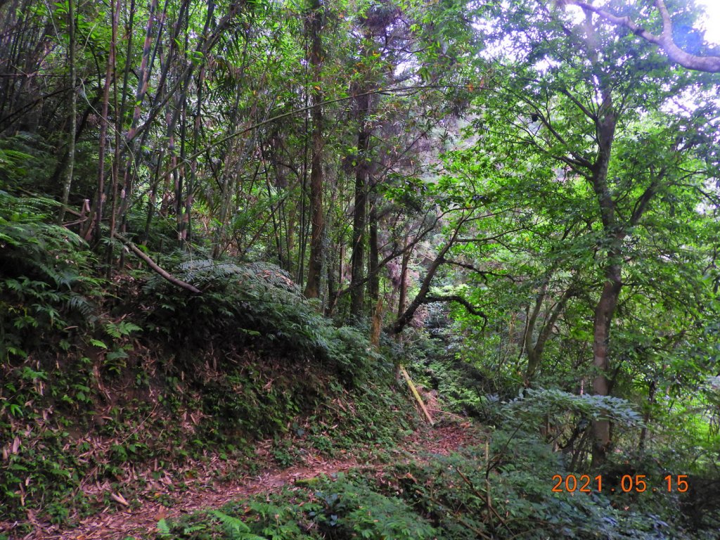 新北 坪林 倒吊蓮山、倒吊嶺山_1388209