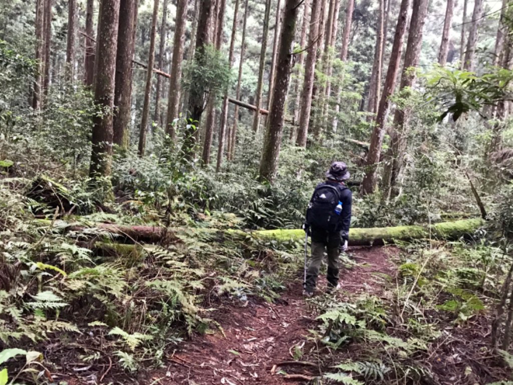 麥巴來山健走_592670