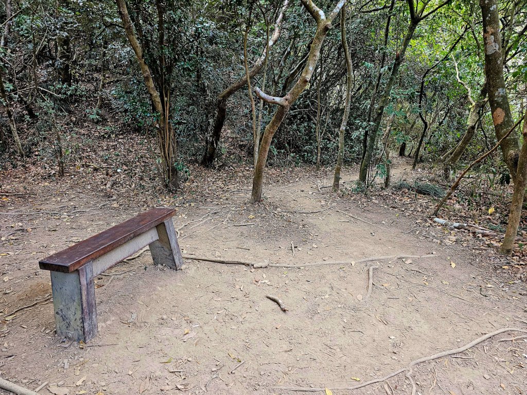 小百岳集起來-里龍山_2184734