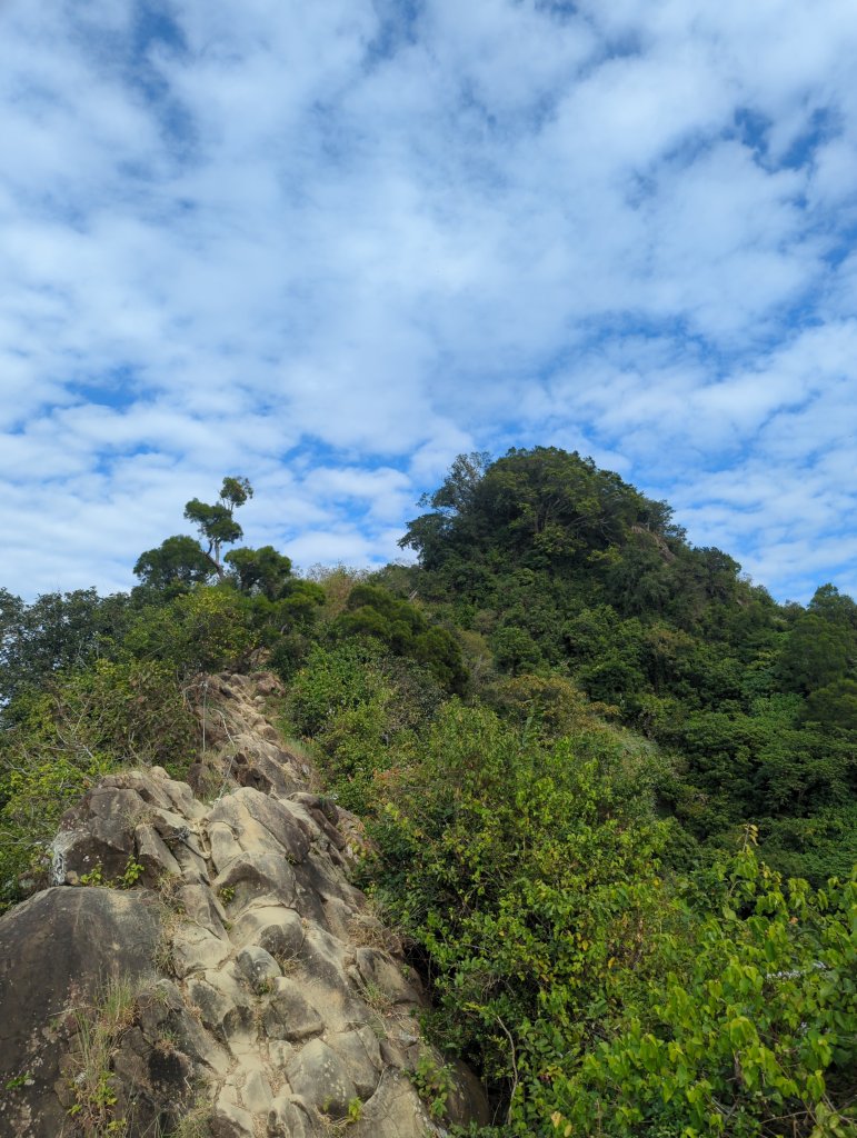2024.12.21－旗尾山步道封面圖