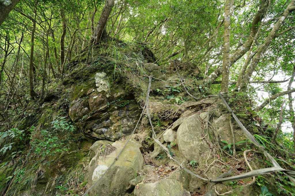 新北 烏來 烏來山、大桶山、四崁水山_2829240