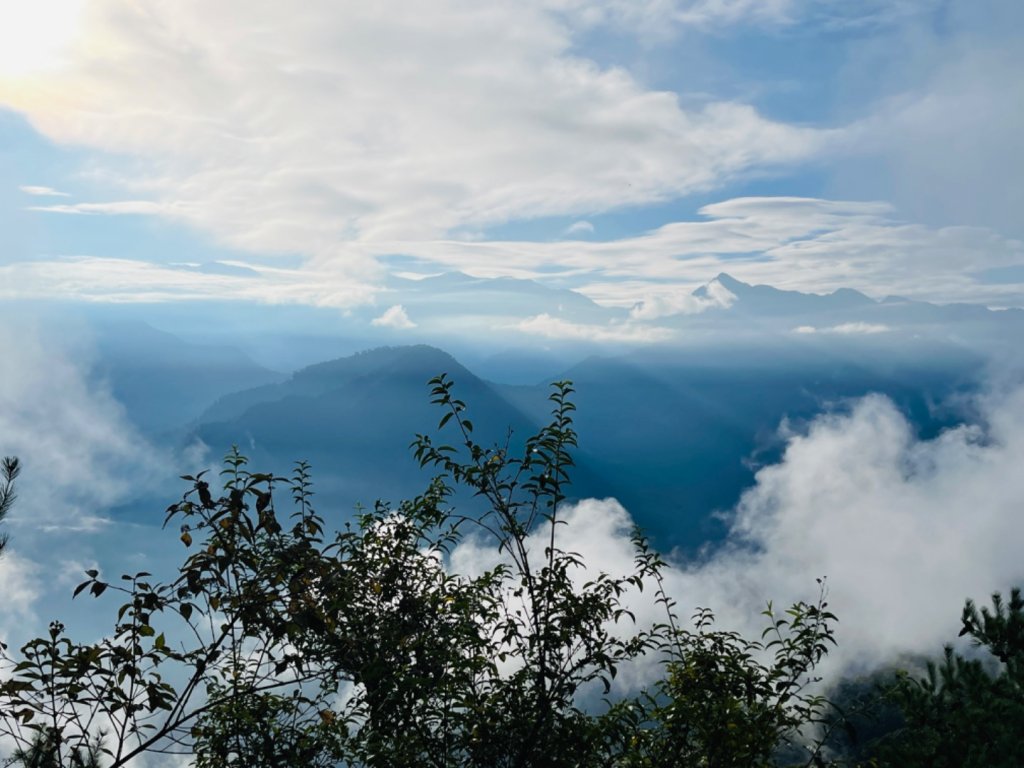 1111104二訪雪見大板根_1899288