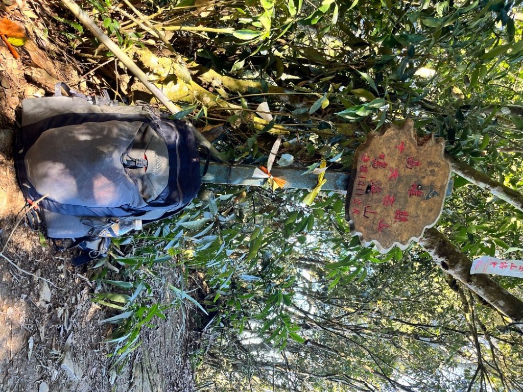 20251116_鳴海山（高雄小百岳）_2941573