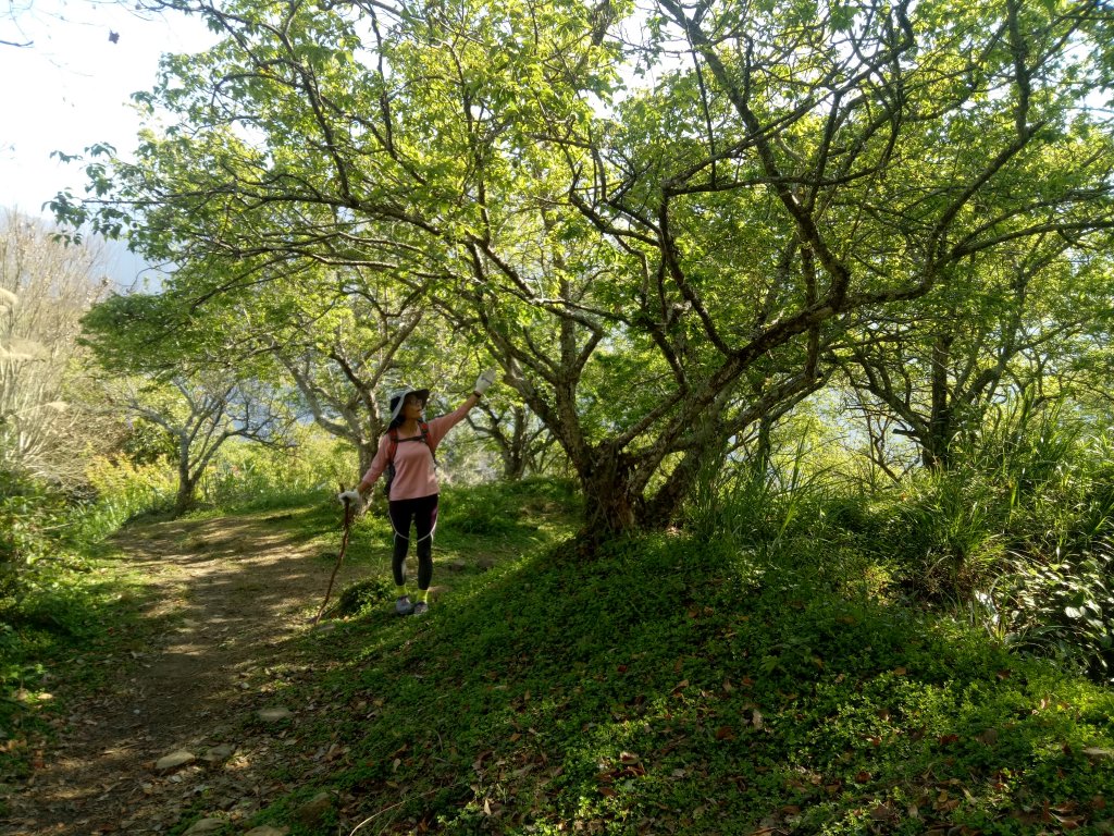 獵人古道上望美山+瓊山_1914362