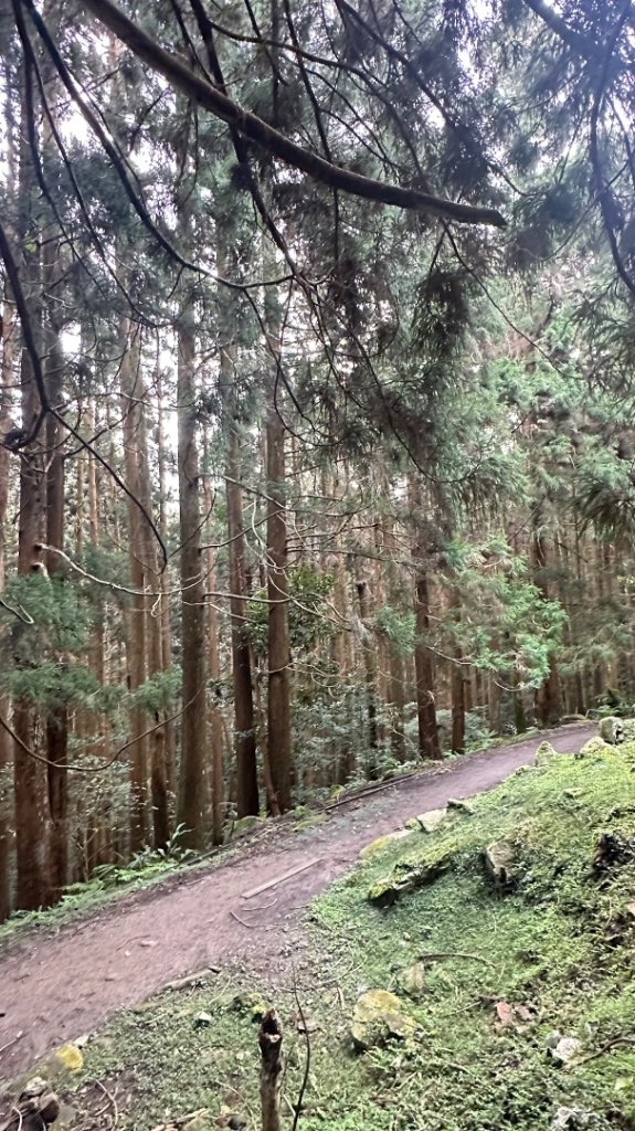 哈加縱走_2936977