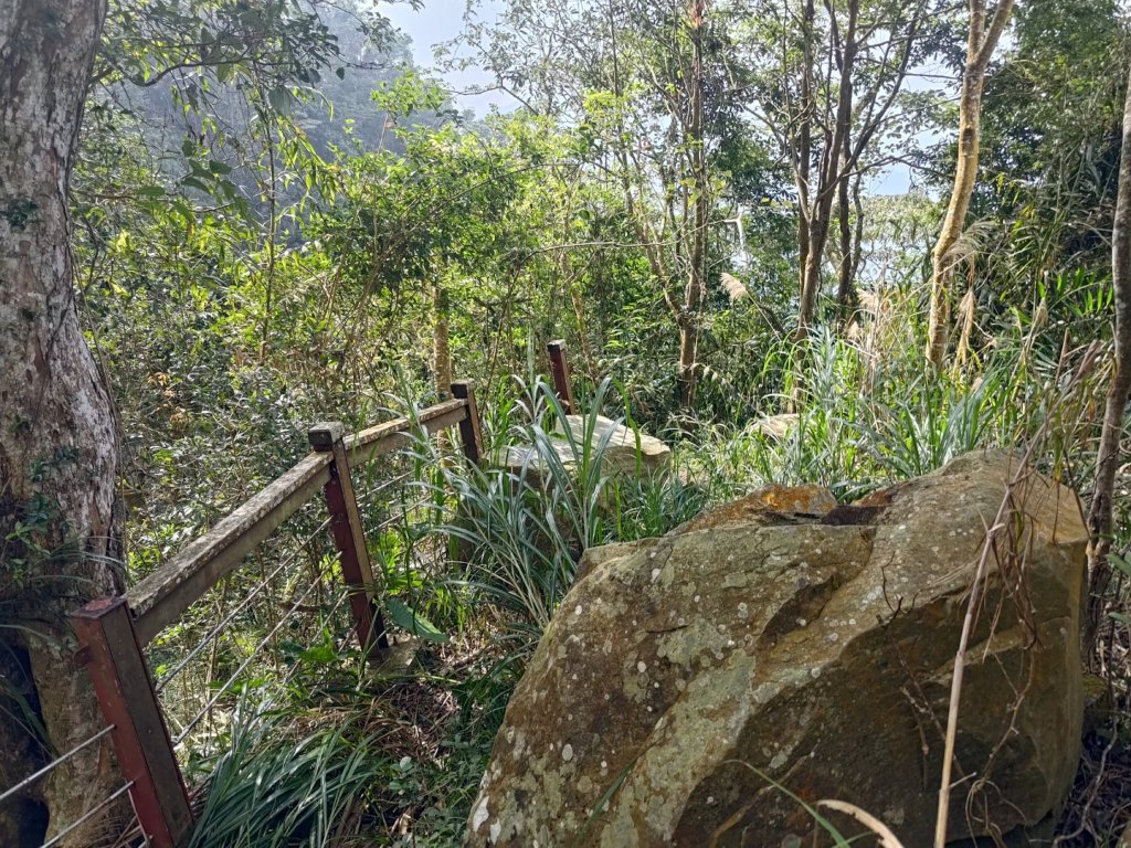 回歸自然的山羊古道_2678666
