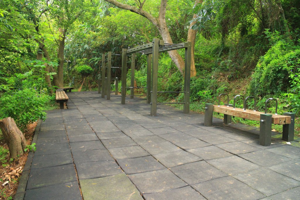 田中麒麟山森林步道 20190913_691117