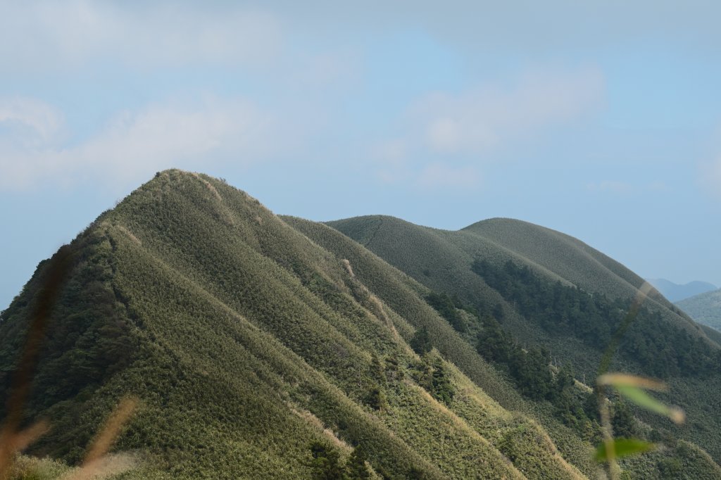 小觀音山Y型_1994496