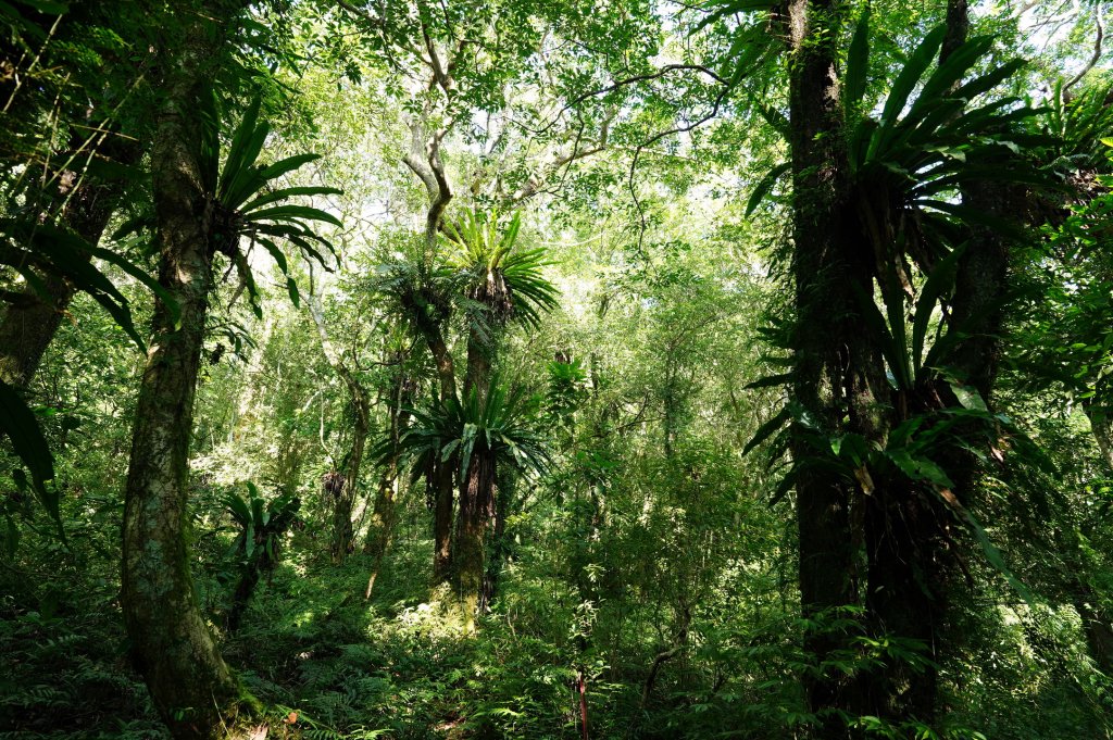 新北 烏來 山車廣山、檜山_2567371