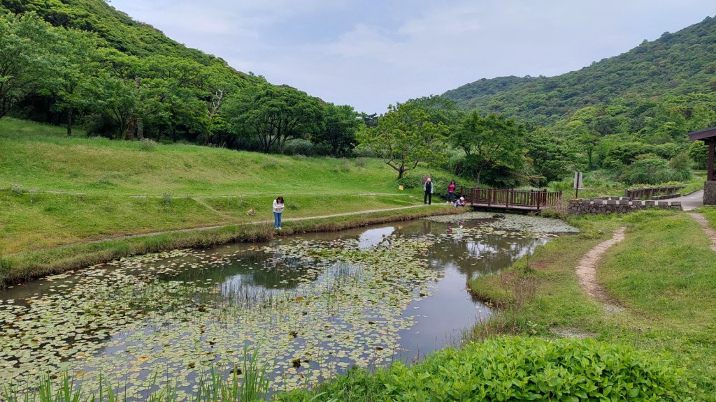 楓樹湖古道登面天北稜上面天山_2782227