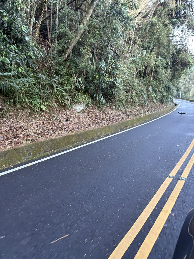20251225塔山步道(大塔山)_2970213