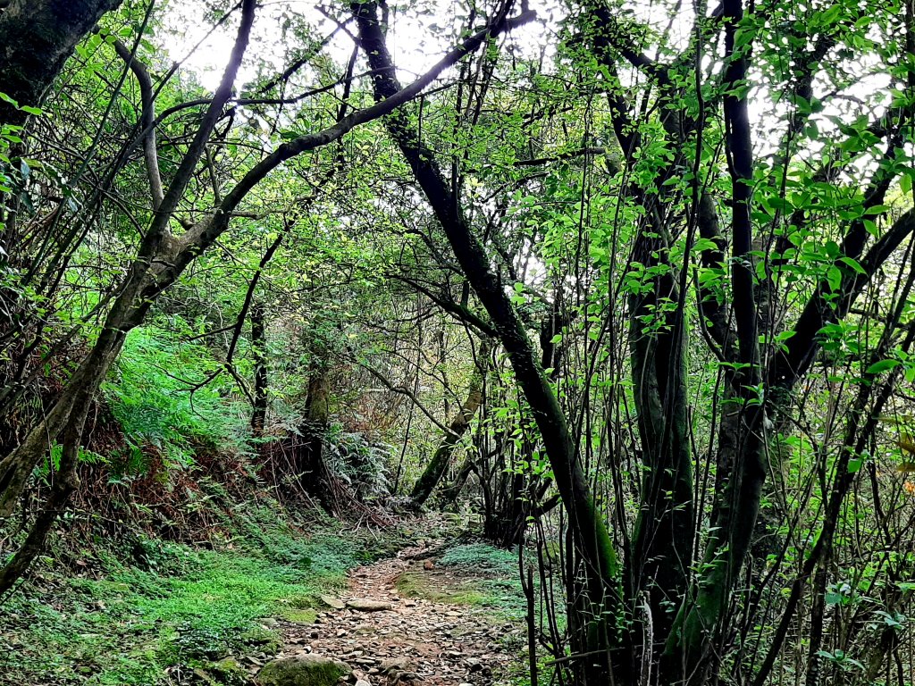 走遍陽明山：擎天崗系｜景遠心自闊，潺潺溪水聲洗去一身憂_2113890
