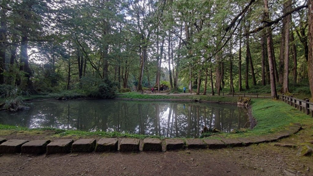 1101109 眠月線_1621249