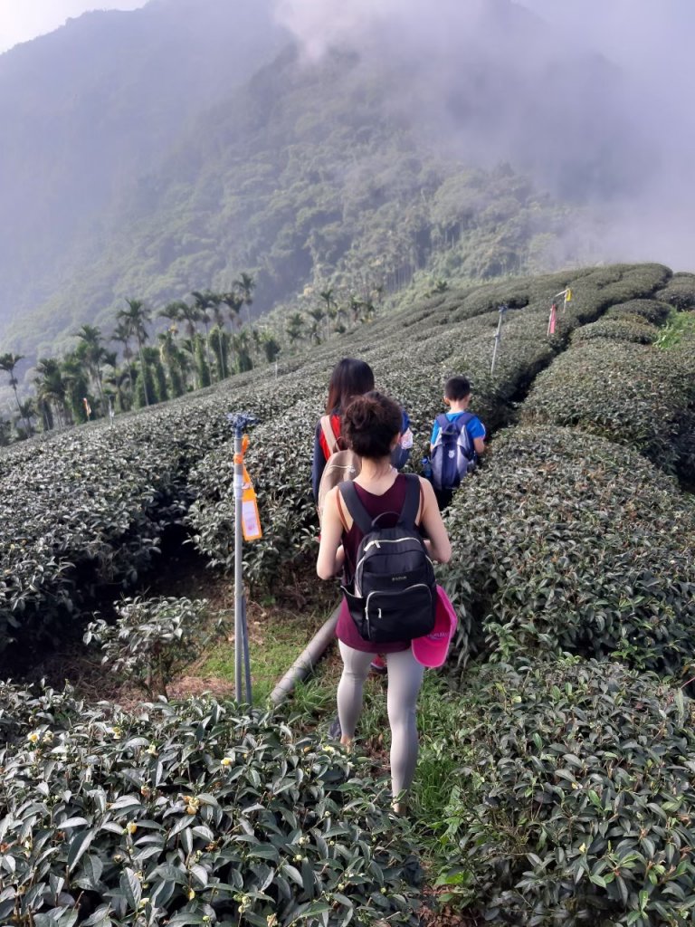 20191027跟著小弟底一口氣衝上大尖三角點_1369272