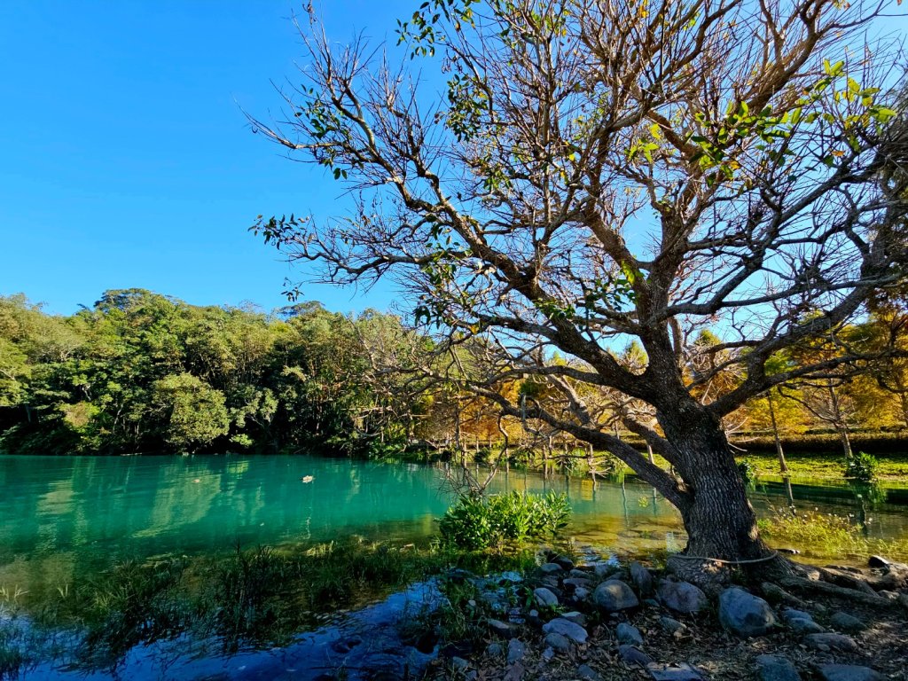 日月潭環湖步道_2966142