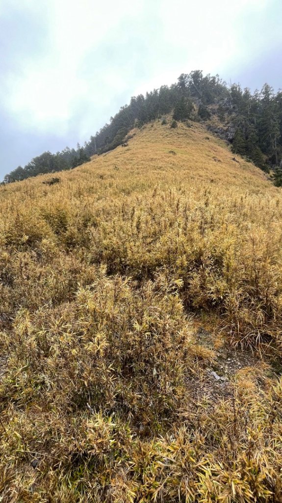 逆走雪劍💙淒風苦雨賞雪❄️+🎂⛰️旅_2967763