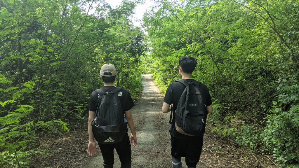 大崗山步道_1452707