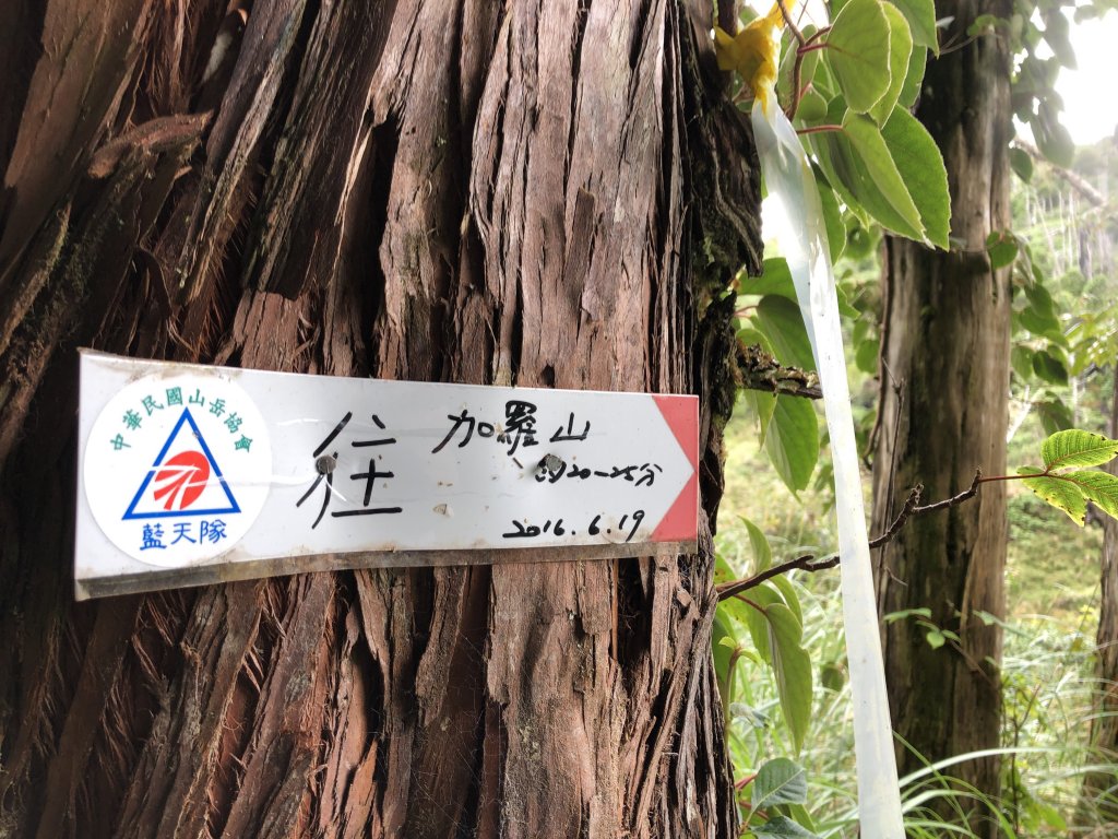 宜蘭 四季 加羅湖_633968