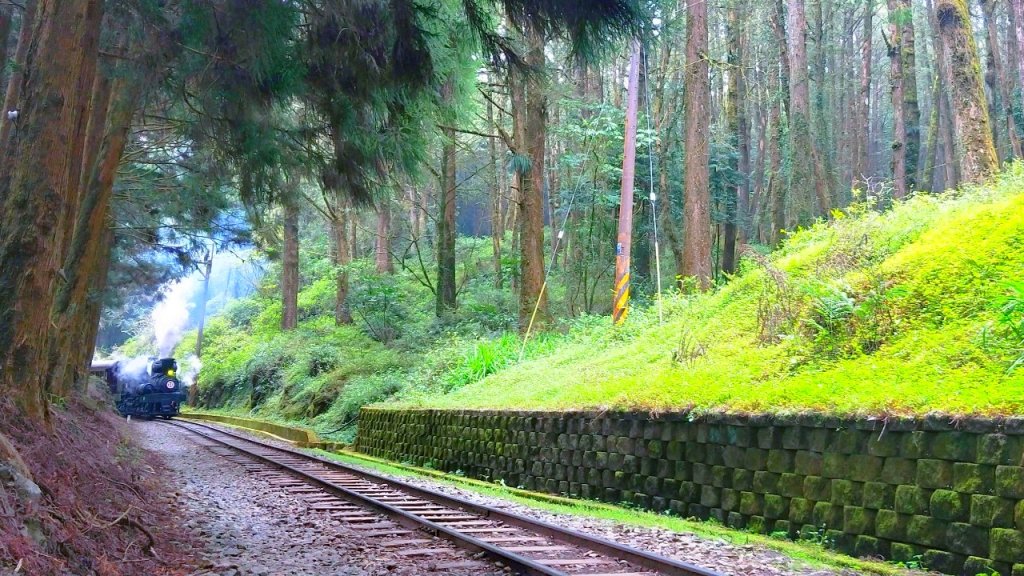 消失眠月線 檜木林百年蒸氣火車行駛_911563